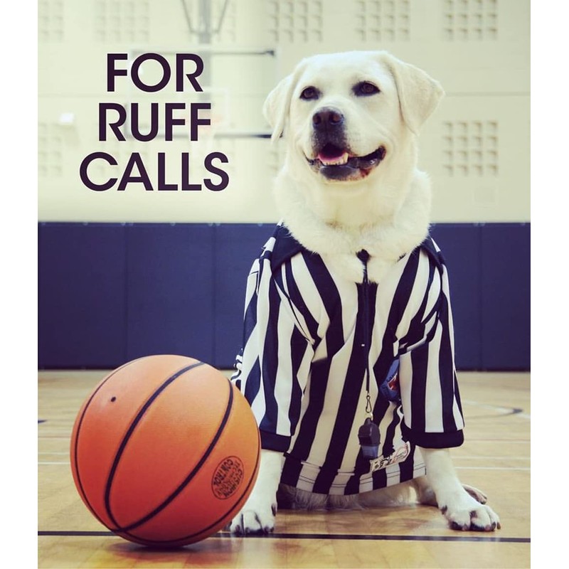 Fox 40 Sonik Blast CMG with Break Away Lanyard -