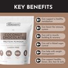 JUST INGREDIENTS Coconut Chocolate Protein Powder – 30-Serving Blend with