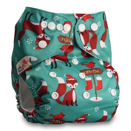 Littles & Bloomz, Reusable Pocket Cloth Nappy, Fastener: Popper, Set of 1, Pattern 21, with 1 Microfibre Insert