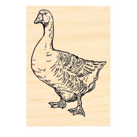 Dragonflylaser P137 Goose rubber stamp