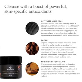 Annmarie Charcoal Cacao Mask (50 ml)