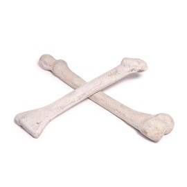Ceramic Skeleton Bones for Indoor and Outdoor Fire Pits and Fireplaces | 2 Fireproof Ceramic Bones, 12 and 16 Inches Long | White Ivory Color