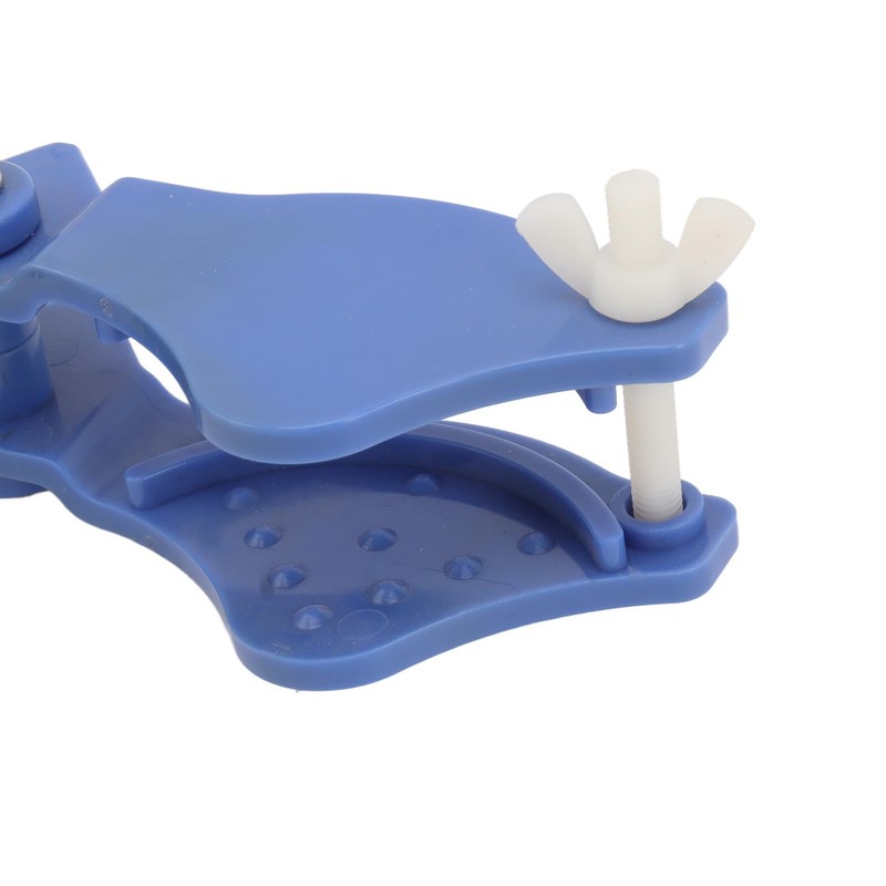 Swimming Pool Tablet Holder for Pool Pole, Reusable Pool Tab