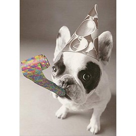 Graphique de France Bulldog Wearing Hat and Blowing Party Horn Funny/Humorous Dog Birthday Card
