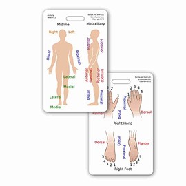 Anatomy & Anatomical Postioning Vertical Badge ID Card Pocket Reference Guide