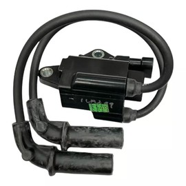 KohlerOEM 19 519 01-S Dual Output Ignition Coil Genuine