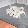 Dog Pee Pad Washable-Extra Large Instant Absorb Training Pads Non-Slip