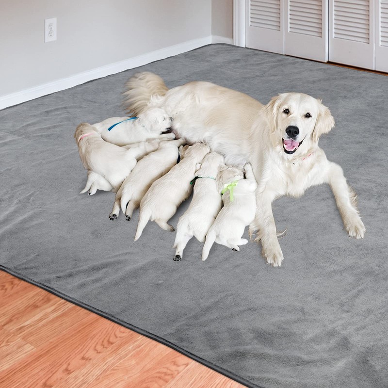 Dog Pee Pad Washable-Extra Large Instant Absorb Training Pads Non-Slip