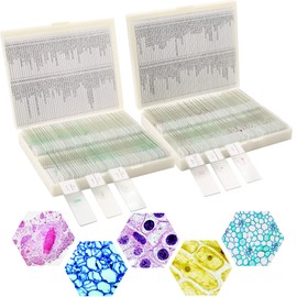 Prolee 200 Packs Microscope Slides, 100 Plants & 100 Animal Tissues Includes Labels and Case for Biological Science Education