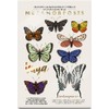 Yuya - Republic Cosmetics Set de Sombras "Metamorfosis" con 18
