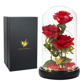 Flower Gifts for Women,Beauty and The Beast Rose in Glass Dome with 2 Lights Mode,Light up Rose Anniversary Romantic Gift for her,Birthday Gifts for Women,Mom,Wife,Girlfriend,Silk Red Rose Gift