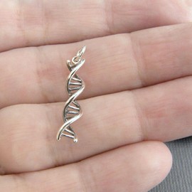 Generic DNA Strand Double Helix Gene Biology Genetics 3D 925 Sterling Silver Charm Pendant Traditional Bracelet Dangle, TIN6077