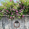 Portamangueras de Jardín de Plástico Negro para Pared de 30m