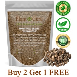 200 Moringa Oleifera Seeds 2 oz. WINGLESS Fresh Organic Semillas de Moringa Tree
