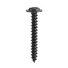 200Pcs Self-Tapping Screw Assortment Stainless Steel Truss Self-Drilling Screw Kit