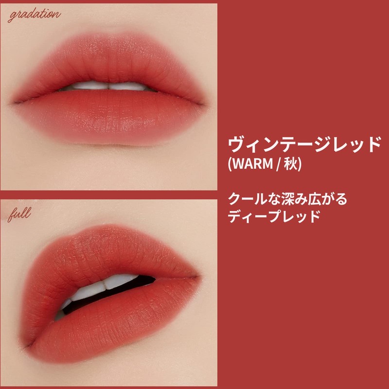 ETUDE Vintage Red Lipstick 4g Fixing Tint 1 pcs