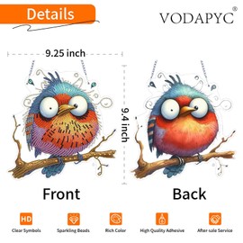 VODAPYC Funny Bird Diamond Painting Acrylic Hanging Kits for Adults, DIY Double Sided Special Shaped Diamonds Art Window Pendant Ornament for Home Decor(Abstractly Bird)