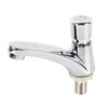 Time Delay Basin Sink Faucet Copper Alloy Push Switch Water