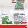 6-pack L-glutamine Probiotiques, Krr Pharma