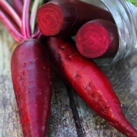 Organic Cylindra Beet Seeds - 1/4 LB ~6,000 Seeds - Organic, Heirloom, Open Pollinated, Non-GMO, Farm & Vegetable Gardening Seeds