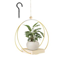 LIUYIDM Blumenampel HäNgend Innen Metall Blumenampel Schwarz HäNgend AußEn Blumentopf HäNgetopf FüR Pflanzen,Geeignet FüR WäNde/Fenster/Decken (Ausgenommen BlumentöPfe und Pflanzen) (Gold)