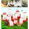 Set of 2 Chicken Automatic Water Feeder Automatic Feeder Bird