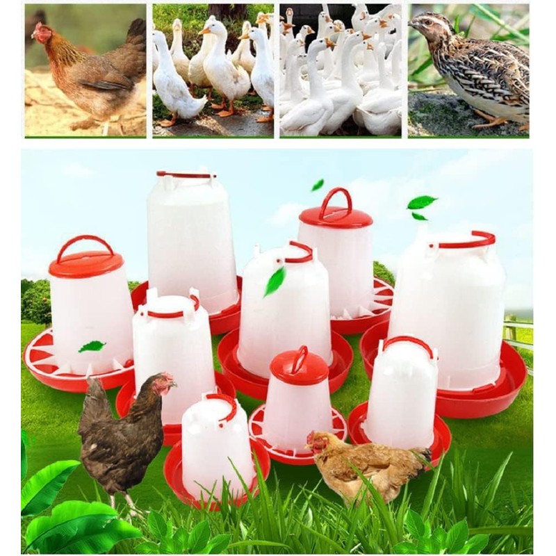 Set of 2 Chicken Automatic Water Feeder Automatic Feeder Bird