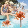 Floating Pool Thermometer for Water Temperature Thermometer for Swimming Pool