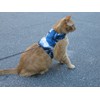 Mynwood Cat Jacket/Harness Blue Combat Kitten up to 8month