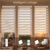 JaeJaes Motorized Zebra Blinds for Windows, Smart Windows Blinds with