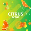 Scrubbing Bubbles Fresh Brush Flushables Refill, Citrus Action Scent, 10