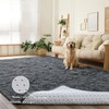 DweIke Fluffy Dark Grey 5x8 Area Rugs for Bedroom Living