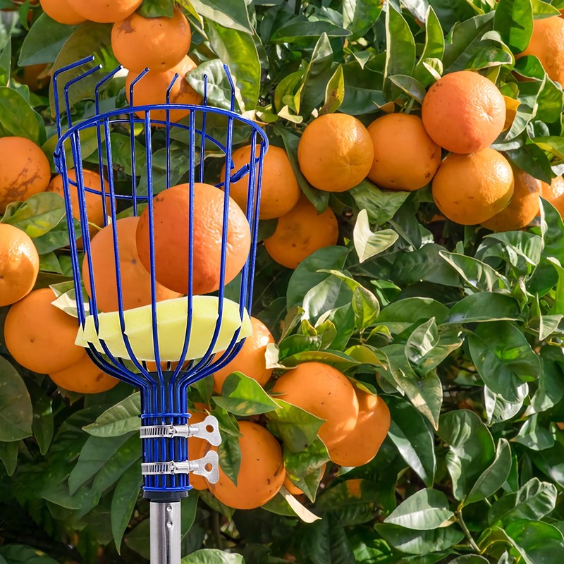 PEAKCLOUDS Fruit Picker Tool with Basket, 35-72 Inch Adjustable Long