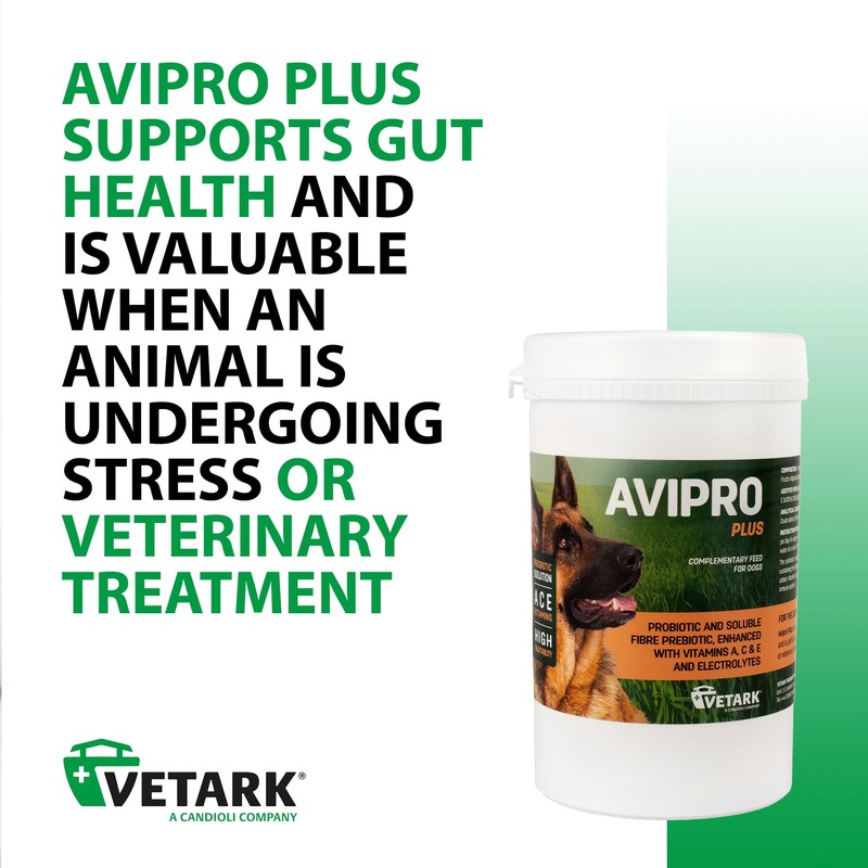 Vetark Avipro Plus | Prebiotic and Probiotic Supplement For Dogs