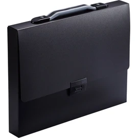 Kingjim Carrying Case Tefit Thickness 40mm A4 Black 282-BK