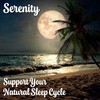 Nature’s Perfect Night | Serenity Magnesium Drink Mix Powder |
