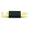 Baomain 2-Pack 60A ANL Fuse Bulk Value Pack with Gold-Plated