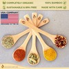 Golden Nature Bamboo Spoon Set (5 Pc), Small Kitchen Teaspoons,