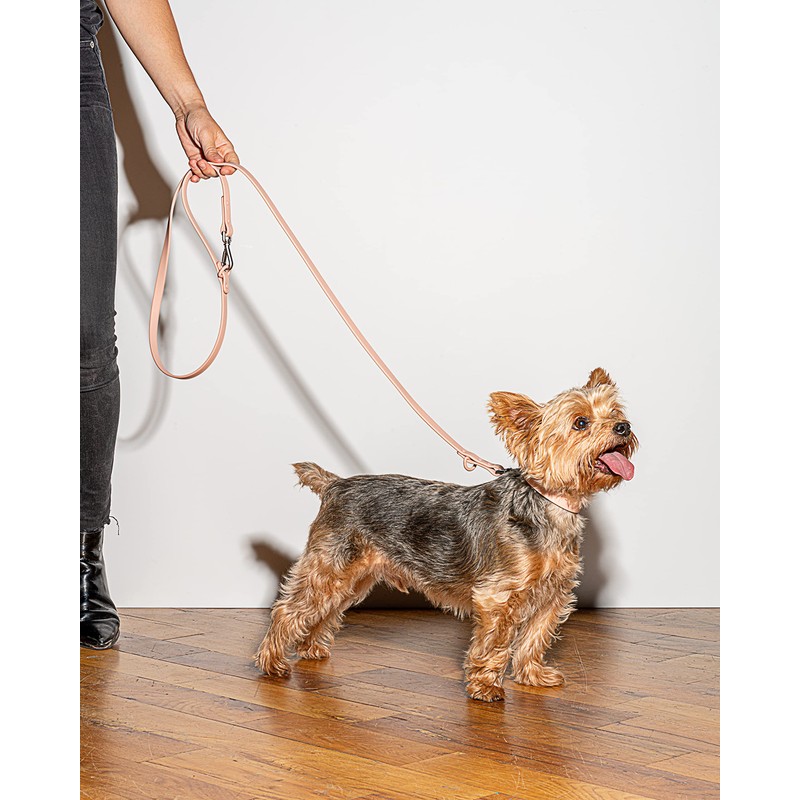 Wild One Leash - Small - Pink