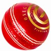 ONEGlobal Supreme Genuine Leather 5oz Cricket Ball for Womens |