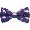 OCIA Men's Bow Tie Pattern Bow Tie for Boys Wedding