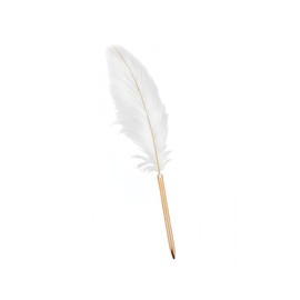 votuyet 1 Pack Retro Feather Ballpoint Pen, Exquisite Signature Pen Refillable Ballpoint Pen, Wedding Gift Pen for Signing Artwork Journal Writing