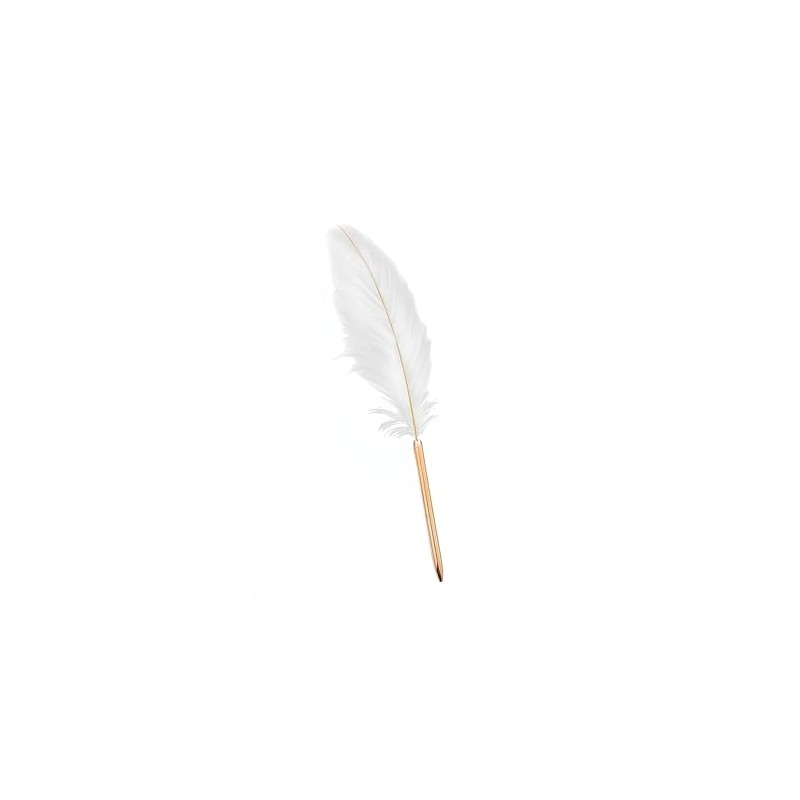 votuyet 1 Pack Retro Feather Ballpoint Pen, Exquisite Signature Pen