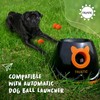 Trustic Balls 2 inch for Small and Medium Size Dogs