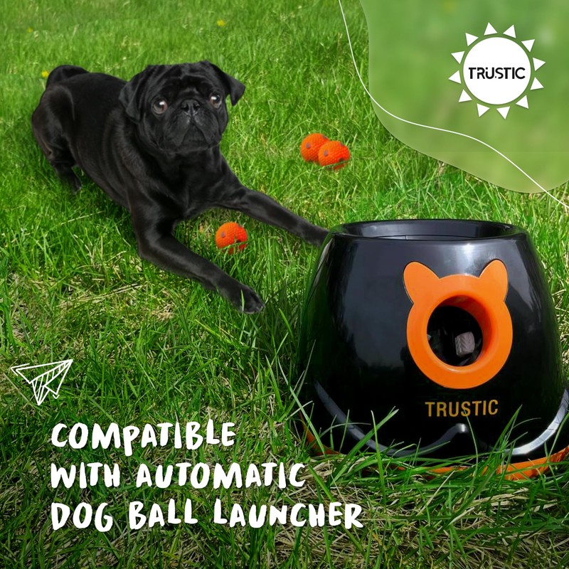 Trustic Balls 2 inch for Small and Medium Size Dogs