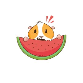 Watermelon Notebook: Watermelon Notebook, Dot-Graph Journal or Notebook (6x9 Inches) with 120 Pages