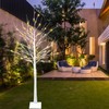 FUCHSUN 6FT 128 LED Solar Lighted Birch Tree Outdoor, Artificial