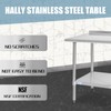 Hally Stainless Steel Table for Prep & Work 24 x
