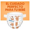 Kit De Pañales Suavelastic Recien Nacido - 40 Piezas X