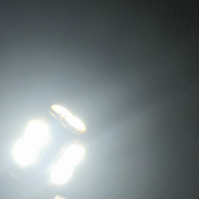 Ruiandsion White P13.5S LED Flashlight Bulb, 6-40V Universal Upgrade (6V/9V/12V/18V/19.2V/24V)
